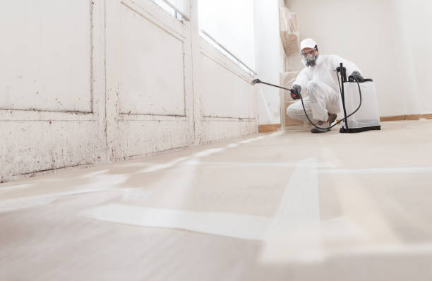 24/7 Emergency Attic Mold Removal experts in Lemoyne, PA